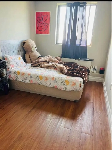 room for rent