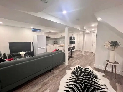 Full furnished Basement