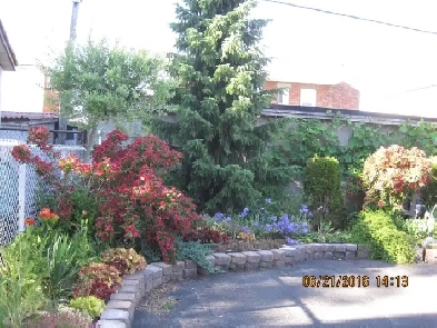 Nice rooms for student, professional short/long term!