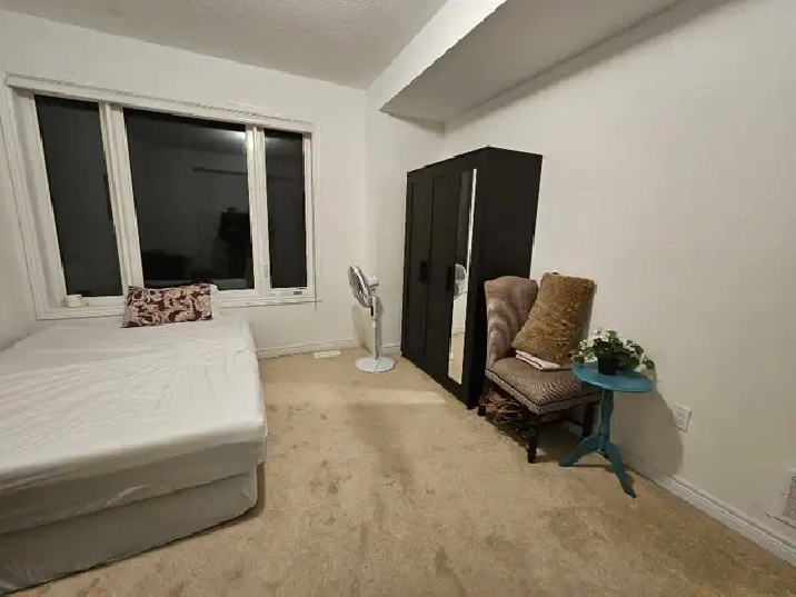 basement rental in port Whitby