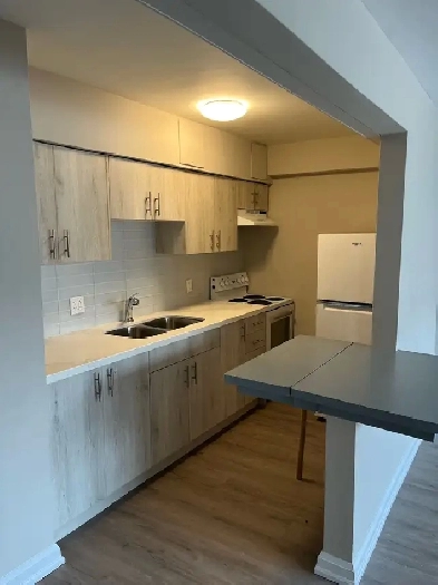 1 bedroom apartment for rent