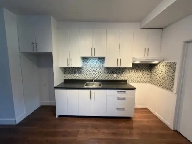 Grand 3.5 style condo.  Près de la place Valois