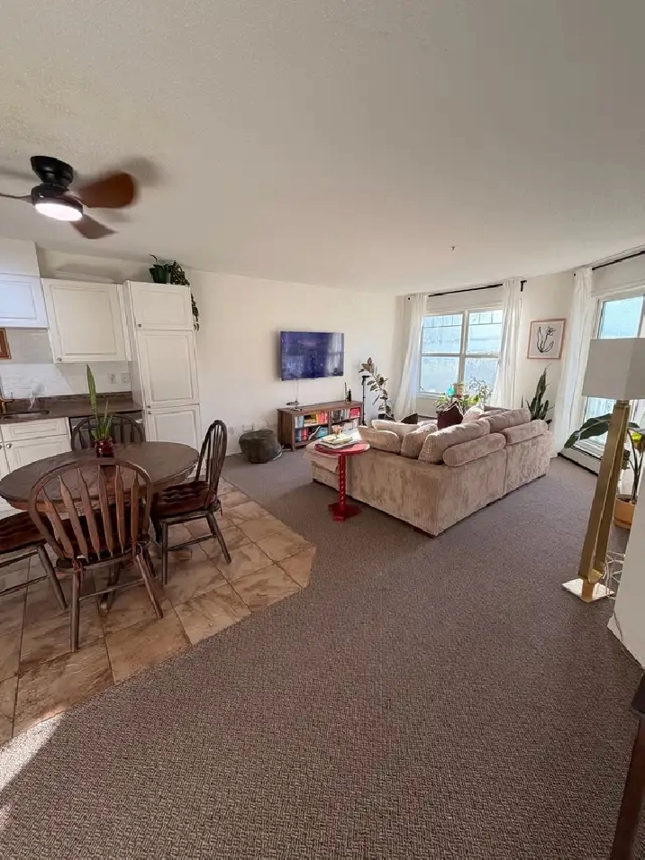 Bright, All-Inclusive 1 Bedroom   Large Den Condo