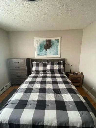 Room for rent in a two bedroom two bathroom downtown condo.