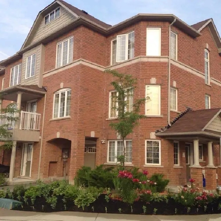 Room Rental at Steeles and James Potter
