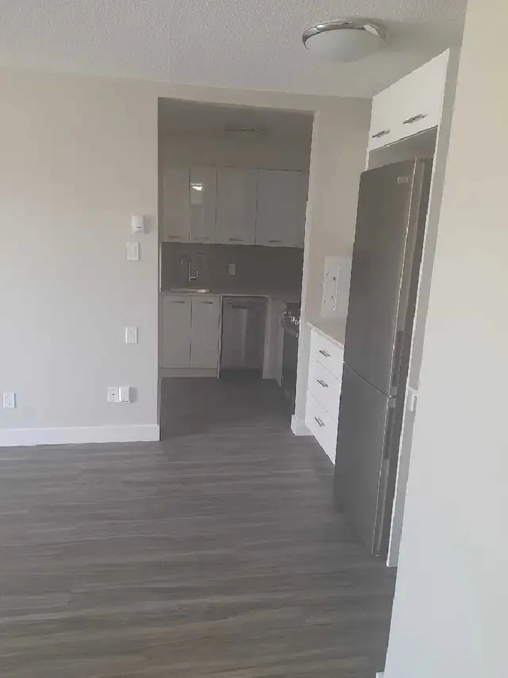 1-bedroom suite