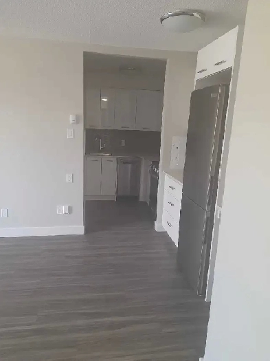 1-bedroom suite
