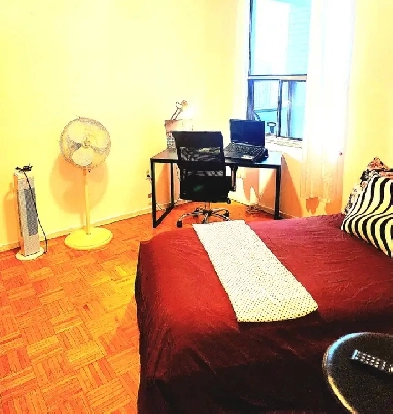 Furnished Room in the heart of Downtown Toronto