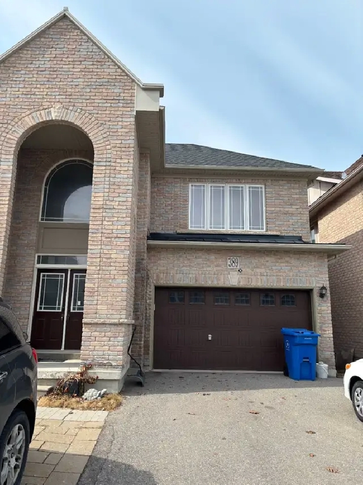 NEWMARKET ONE BEDROOM WALKOUT BASEMENT APPARTMENT FOR RENT