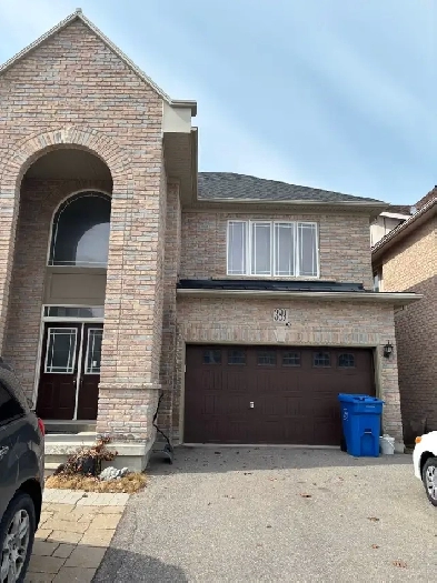 NEWMARKET ONE BEDROOM WALKOUT BASEMENT APPARTMENT FOR RENT