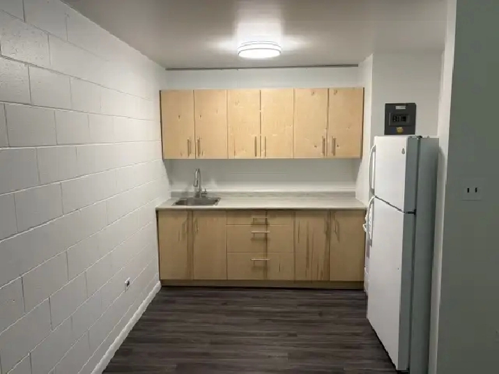 Affordable 1 Bedroom Suite Available for Rent  55  Apartment