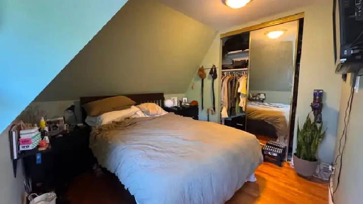 Photo 5