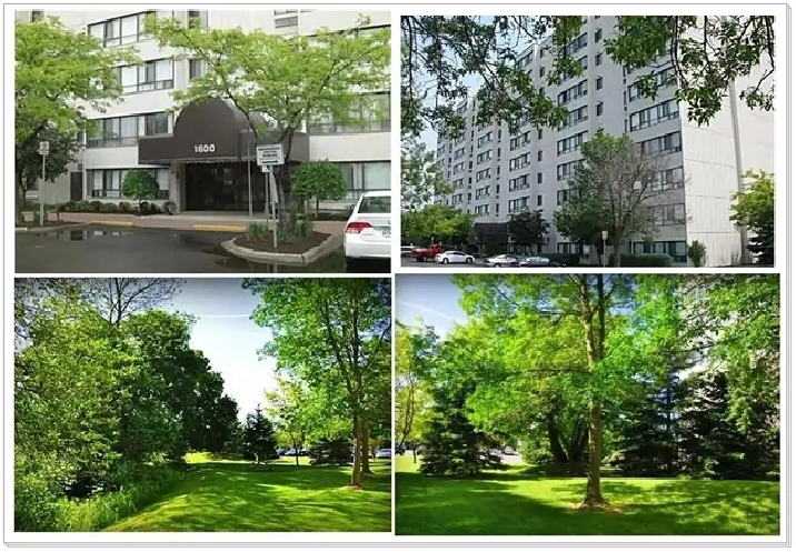 Pristinely Clean 1 Bedroom Rental at 1600 Adelaide Street London