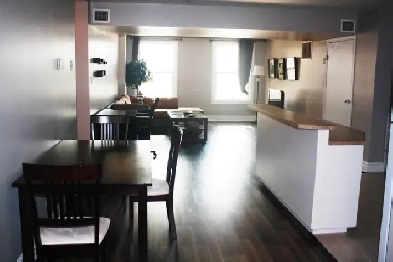 Beautiful fully furnished downtown condo available Aug 1, 2026