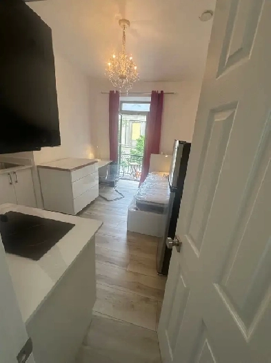 Furnished Studio w/Balcony - DOWNTOWN