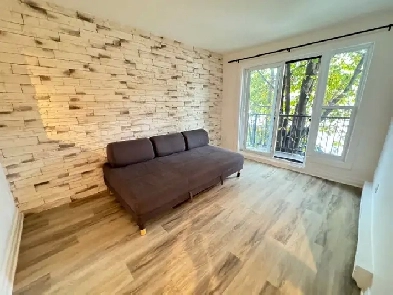 Rosemont superbe 3 1/2 Rénové à neuf! Delorimier et Dandurand!