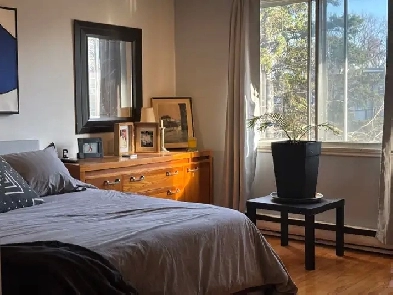 Grand 5 1/2 Ensoleillé Quartier Rosemont