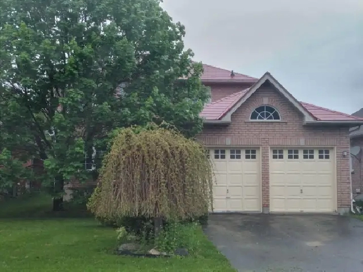 Renovated Keswick 2 Bedroom Basement Apartment