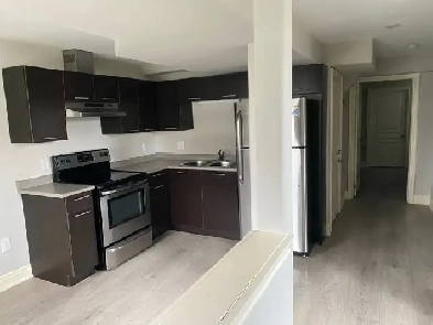 NEWLY RENOVATED, OPEN CONCEPT BACHELOR BASEMENT APARTMENT