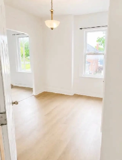 Freshly renovated 1 Bed/1 Bath