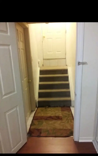 2  bedroom basement apt  for rent from Aug first