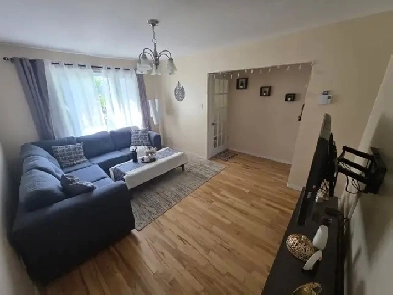 5 1/2 éclairé rez-de-chaussée - Triplex à Saint-Hubert/Longueuil