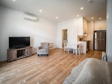 Appartement/studio meublé pour professionnel ou personne seule