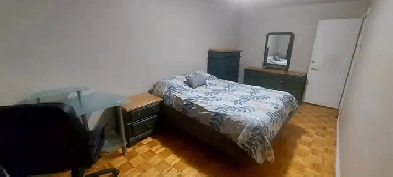 Chambre à louer