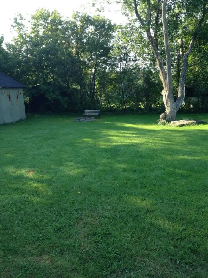 One Bed Basement Apartment