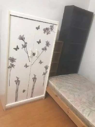 Private basement room(lady only) near UTM for rent