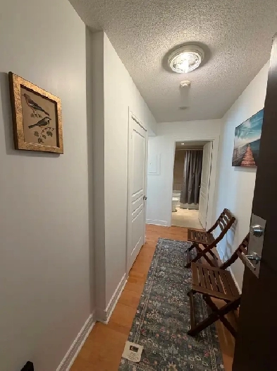 CONDO Studio furnished, long or short, term Yonge & Sheppard