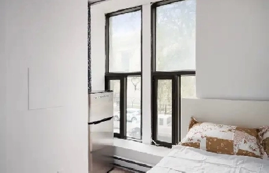 Furnished Studio - Downtown