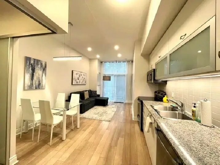 Luxury Condo Downtown 3 min Subway 2 bm 1.5 wr