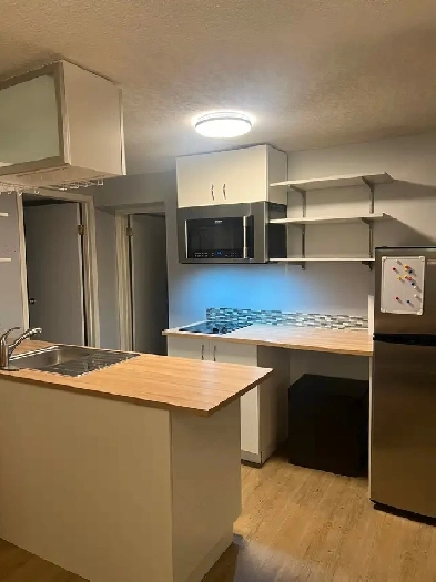 Newly Renovated Basement Suite for Rent