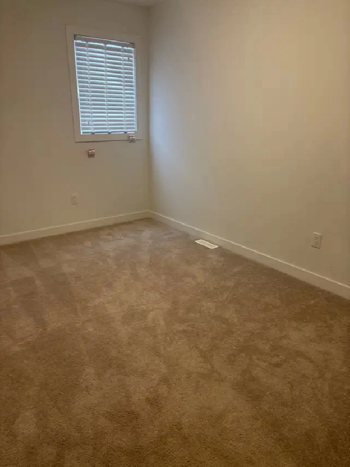 Modern Private Room & Bathroom in Tuxedo Park | All Utilities