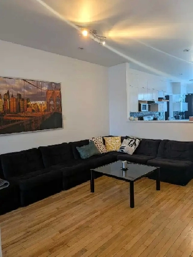 3 chambres,meublé,éclairé,chauffé,WIFI,métro JOLIETTE,terrasse