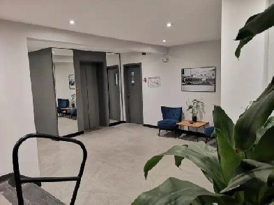 Renovated 3 1/2 NDG area