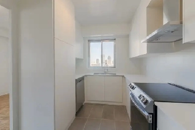 spacious one bedroom apartment near concordia - ID 971