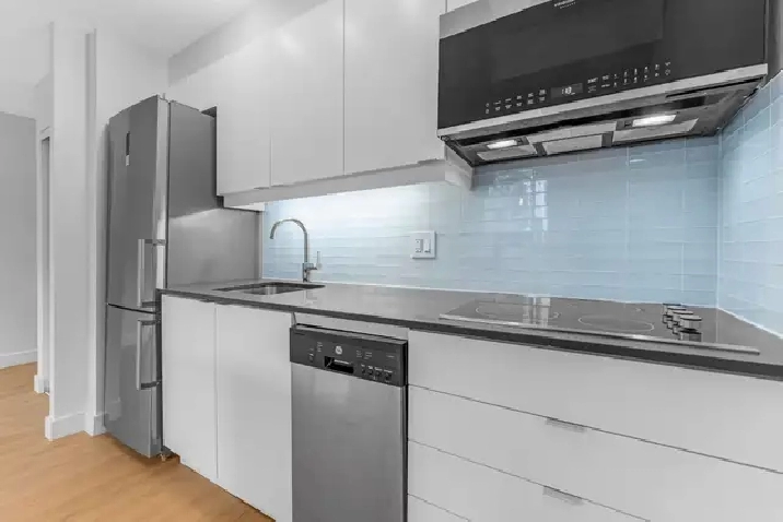 studio apartment for rent, ByWard Market, August 1 - ID 4580