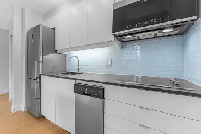 studio apartment for rent, ByWard Market, August 1 - ID 4580