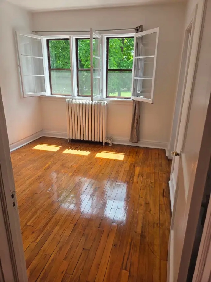 Centrally located apartment (downtown)