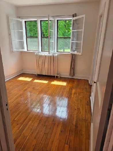 Centrally located apartment (downtown)