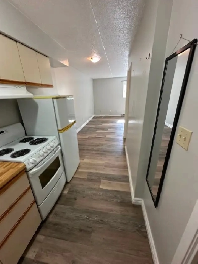 Bachelor in Minnow Lake Available for July