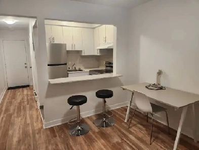 Beautiful Renovated Apartment for IMMEDIATE MOVE IN
