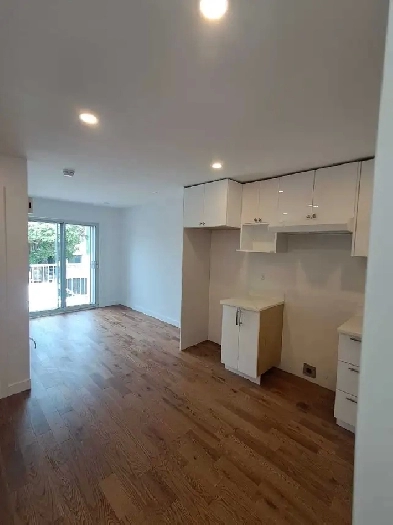 Villeray 3 1/2 à louer entièrement rénové/ fully renovated