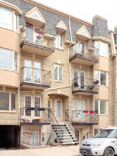3 1/2 au 1253 Rue Wolfe - Downtown