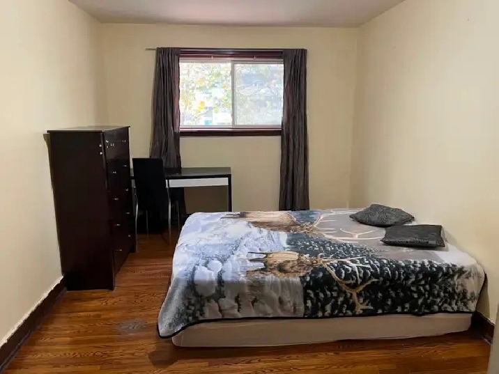 LARGE BEAUTIFUL ROOM 2ND FLOOR NORTH YORK STEELES AND BATHURST