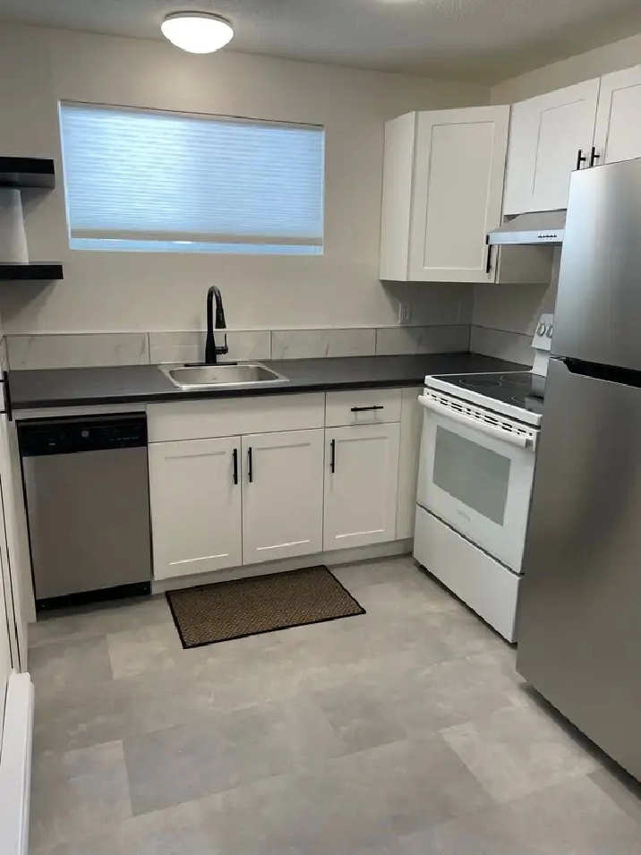 Newly Renovated 1 Bedroom Apartment for Rent