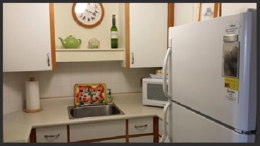55 plus seniors building now renting 1 bedroom suites for July