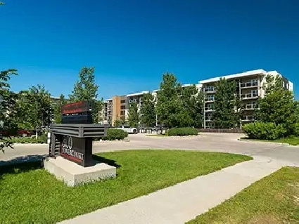 Top-Floor 1 Bedroom Apartment in Beautiful Linden Woods